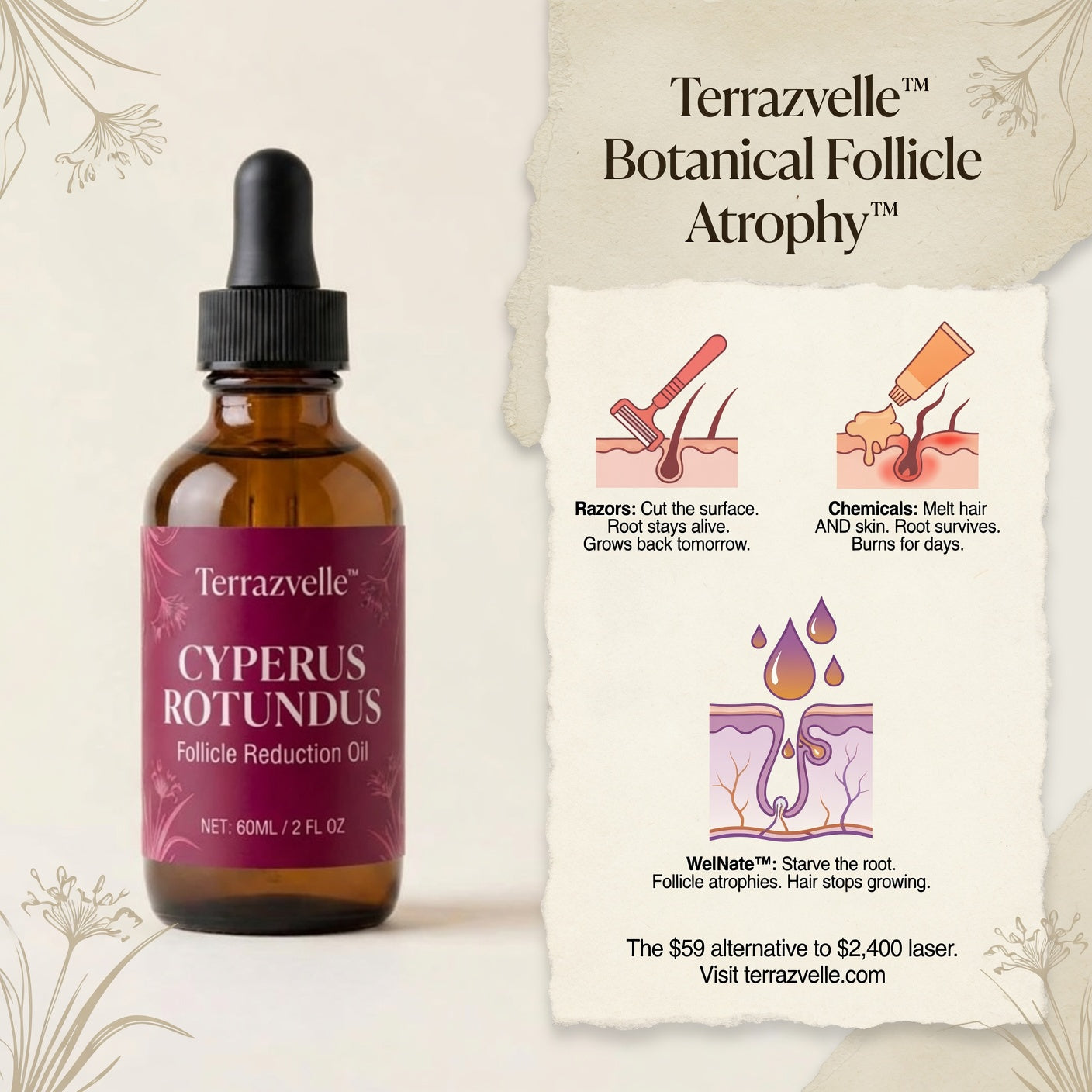Cyperus Root Oil